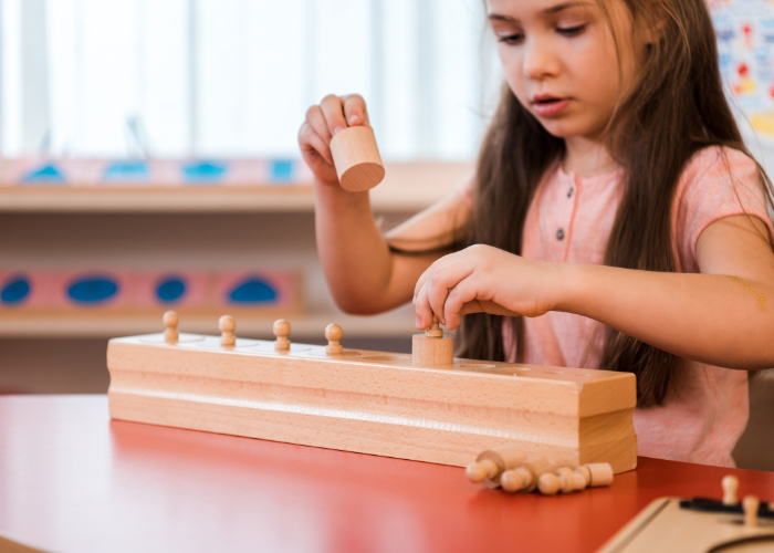 Montessori  Eğitmenliği Eğitimi